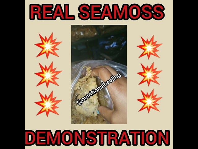 OFFICIAL JAMAICAN SEAMOSS
